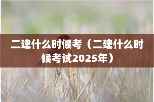 二建什么时候考（二建什么时候考试2025年）