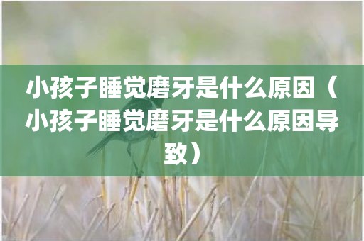 小孩子睡觉磨牙是什么原因（小孩子睡觉磨牙是什么原因导致）