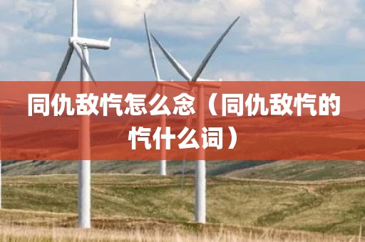 同仇敌忾怎么念（同仇敌忾的忾什么词）