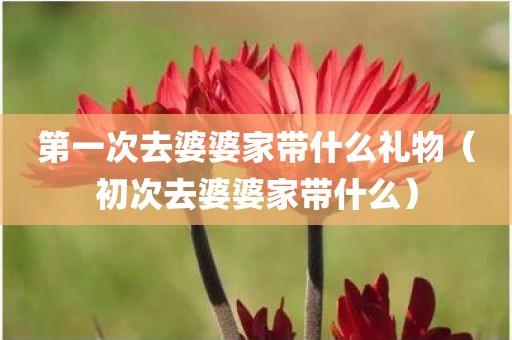 第一次去婆婆家带什么礼物（初次去婆婆家带什么）