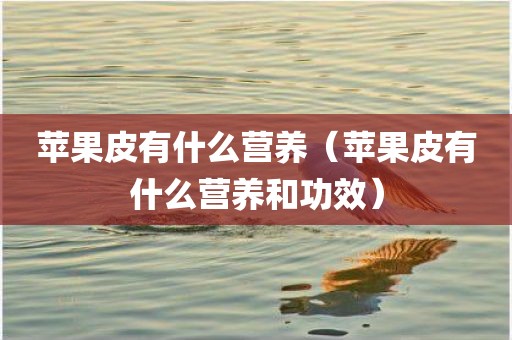 苹果皮有什么营养（苹果皮有什么营养和功效）
