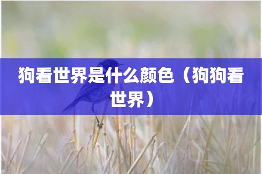 狗看世界是什么颜色（狗狗看世界）