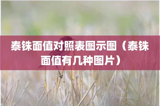 泰铢面值对照表图示图（泰铢面值有几种图片）