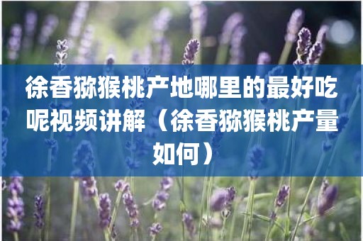 徐香猕猴桃产地哪里的最好吃呢视频讲解(徐香猕猴桃产量如何)