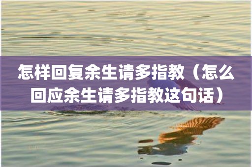 怎样回复余生请多指教（怎么回应余生请多指教这句话）