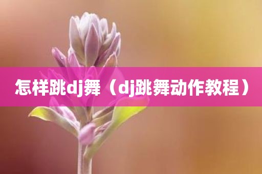 怎样跳dj舞（dj跳舞动作教程）