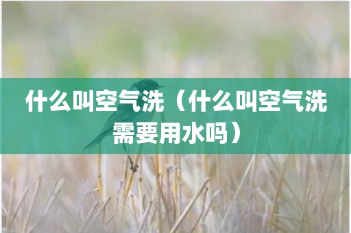 什么叫空气洗（什么叫空气洗需要用水吗）