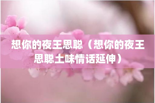 想你的夜王思聪（想你的夜王思聪土味情话延伸）
