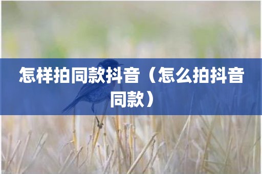 怎样拍同款抖音(怎么拍抖音同款) 怎样拍同款抖音(怎么拍抖音同款)