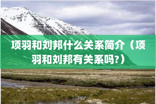 项羽和刘邦什么关系简介（项羽和刘邦有关系吗?）
