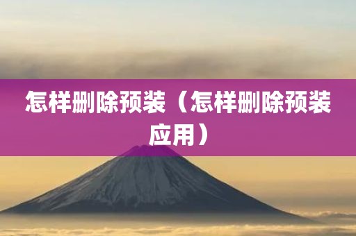 怎样删除预装（怎样删除预装应用）