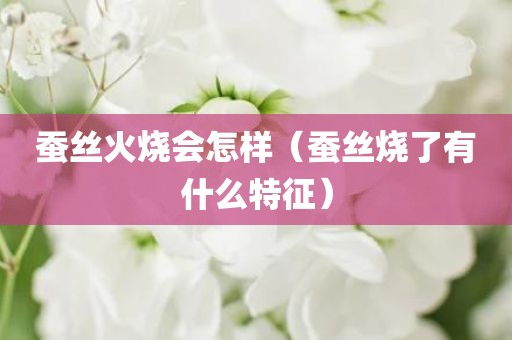 蚕丝火烧会怎样（蚕丝烧了有什么特征）