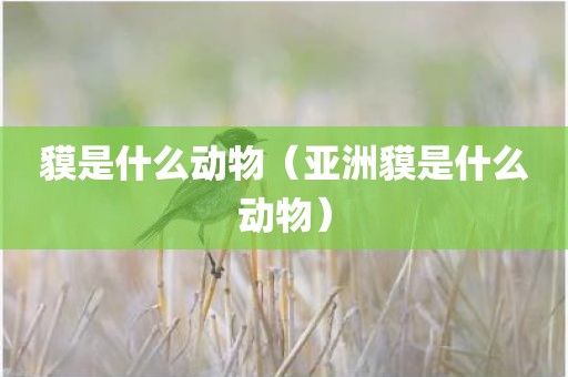 貘是什么动物（亚洲貘是什么动物）