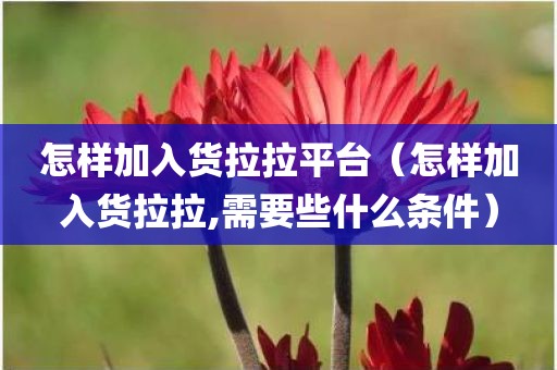 怎样加入货拉拉平台（怎样加入货拉拉,需要些什么条件）