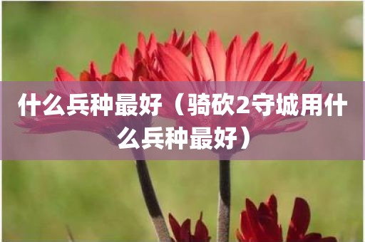 什么兵种最好（骑砍2守城用什么兵种最好）