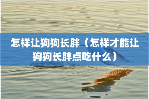 怎样让狗狗长胖（怎样才能让狗狗长胖点吃什么）