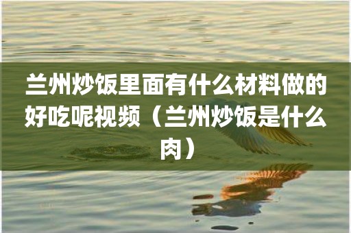兰州炒饭里面有什么材料做的好吃呢视频（兰州炒饭是什么肉）