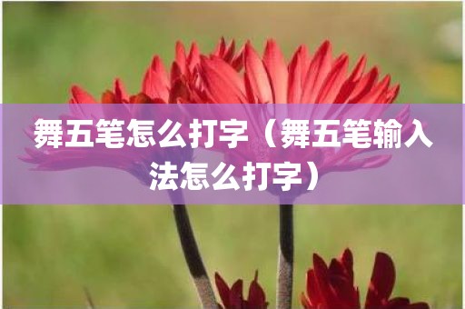 舞五笔怎么打字（舞五笔输入法怎么打字）