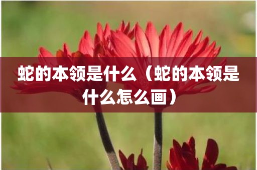 蛇的本领是什么（蛇的本领是什么怎么画）