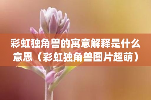 彩虹独角兽的寓意解释是什么意思（彩虹独角兽图片超萌）