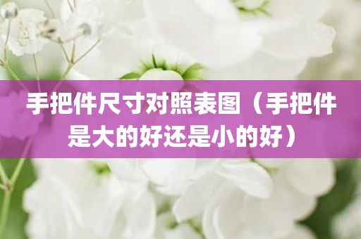 手把件尺寸对照表图（手把件是大的好还是小的好）