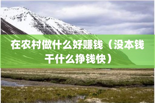 在农村做什么好赚钱（没本钱干什么挣钱快）