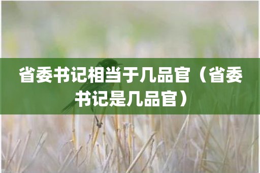 省委书记相当于几品官（省委书记是几品官）