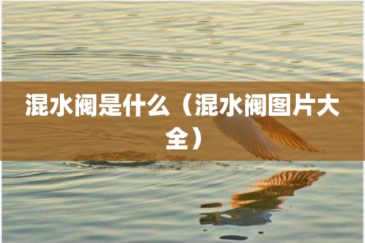 混水阀是什么（混水阀图片大全）