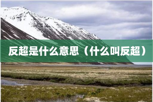 反超是什么意思（什么叫反超）