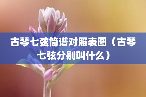 古琴七弦简谱对照表图（古琴七弦分别叫什么）