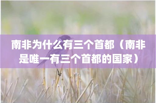南非为什么有三个首都(南非是唯一有三个首都的国家)