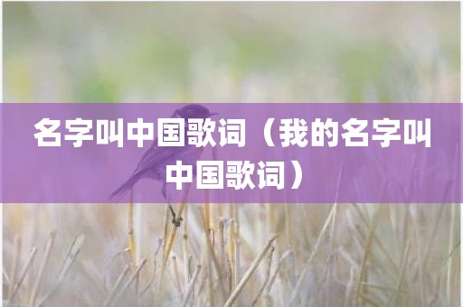 名字叫中国歌词（我的名字叫中国歌词）