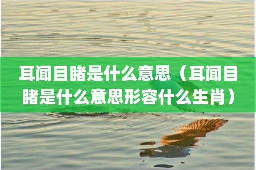 耳闻目睹是什么意思（耳闻目睹是什么意思形容什么生肖）