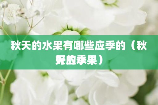 秋天的水果有哪些应季的（秋天应季好的水果）