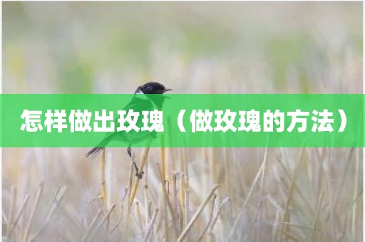 怎样做出玫瑰（做玫瑰的方法）