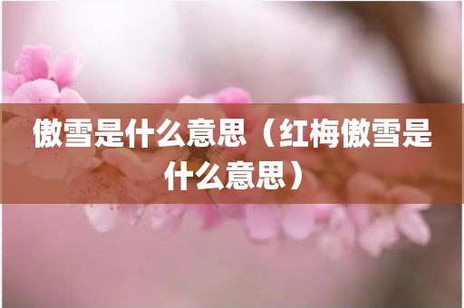 傲雪是什么意思(红梅傲雪是什么意思)