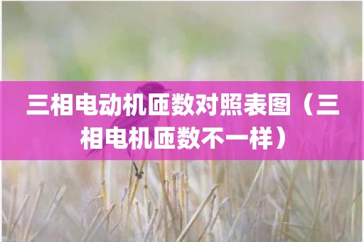 三相电动机匝数对照表图（三相电机匝数不一样）
