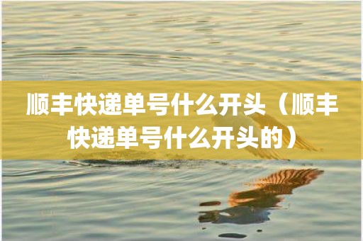 顺丰快递单号什么开头（顺丰快递单号什么开头的）