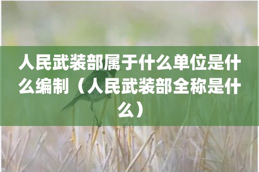 人民武装部属于什么单位是什么编制（人民武装部全称是什么）