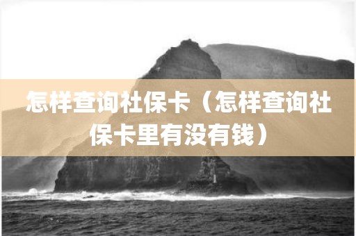 怎样查询社保卡（怎样查询社保卡里有没有钱）