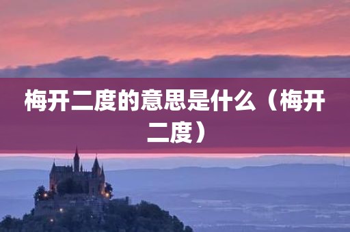 梅开二度的意思是什么（梅开二度）