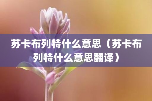 苏卡布列特什么意思（苏卡布列特什么意思翻译）
