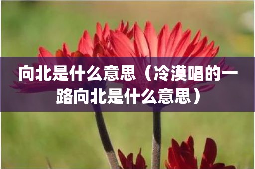 向北是什么意思（冷漠唱的一路向北是什么意思）