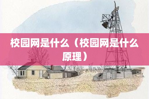 校园网是什么（校园网是什么原理）