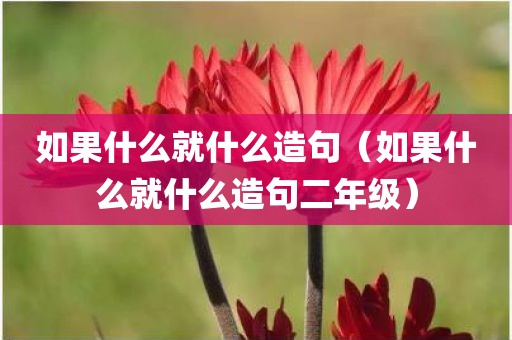如果什么就什么造句（如果什么就什么造句二年级）