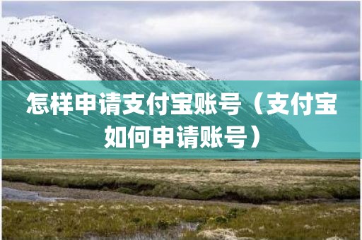 怎样申请支付宝账号（支付宝如何申请账号）