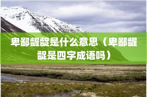 卑鄙龌龊是什么意思(卑鄙龌龊是四字成语吗)
