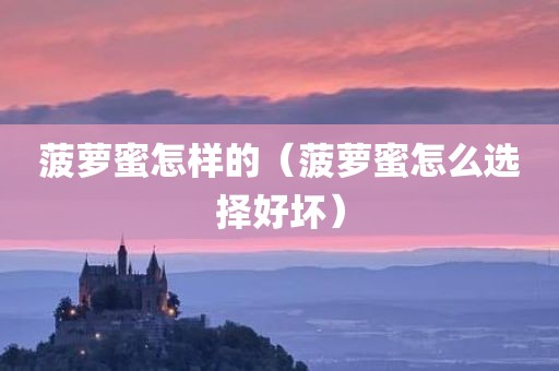 菠萝蜜怎样的（菠萝蜜怎么选择好坏）