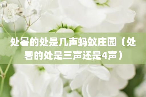 处暑的处是几声蚂蚁庄园（处暑的处是三声还是4声）