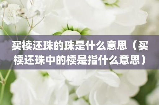 买椟还珠的珠是什么意思(买椟还珠中的椟是指什么意思)